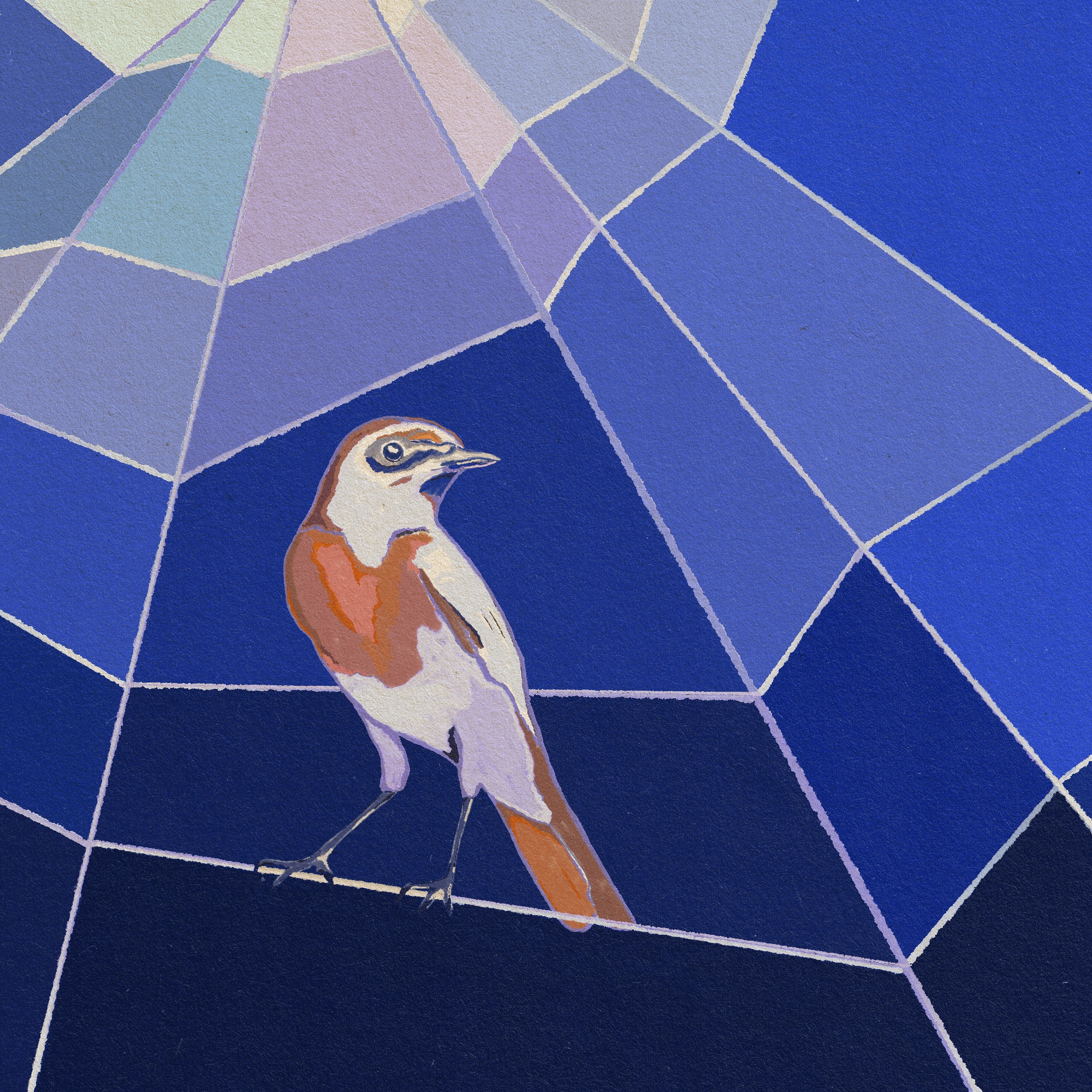 Illustratie voor Bij Nader Inzien artikel 'De kooi van mannelijkheid' door Ester Smits